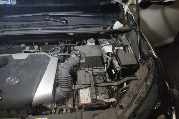 Used Lexus NX 2020 200 Front-Wheel Drive Freeline Edition China VI Standard Engine Bay Left