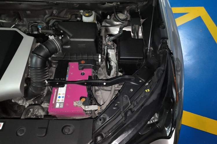 Used Lexus NX 2020 200 Front-Wheel Drive Freeline Edition China VI Standard Engine Bay Left