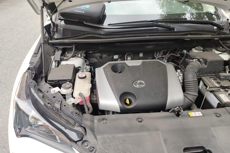 Used Lexus NX 2020 200 Front-Wheel Drive Vmotion Edition China VI Standard Engine Bay Right