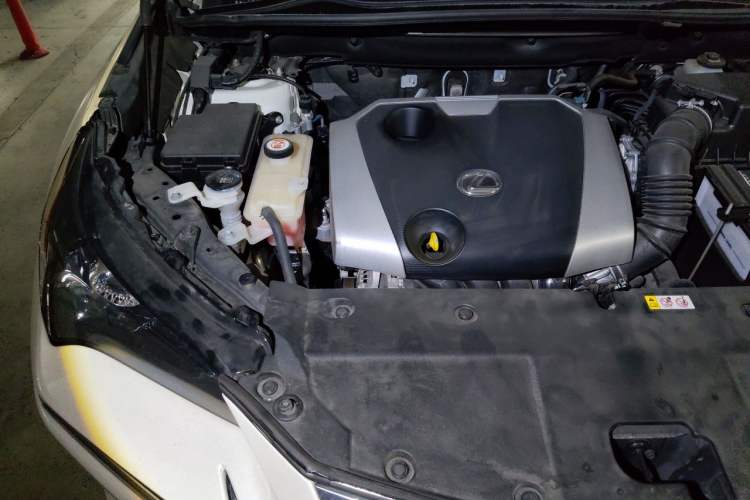 Used Lexus NX 2020 200 Front-Wheel Drive Vmotion Edition China VI Standard Engine Bay Right