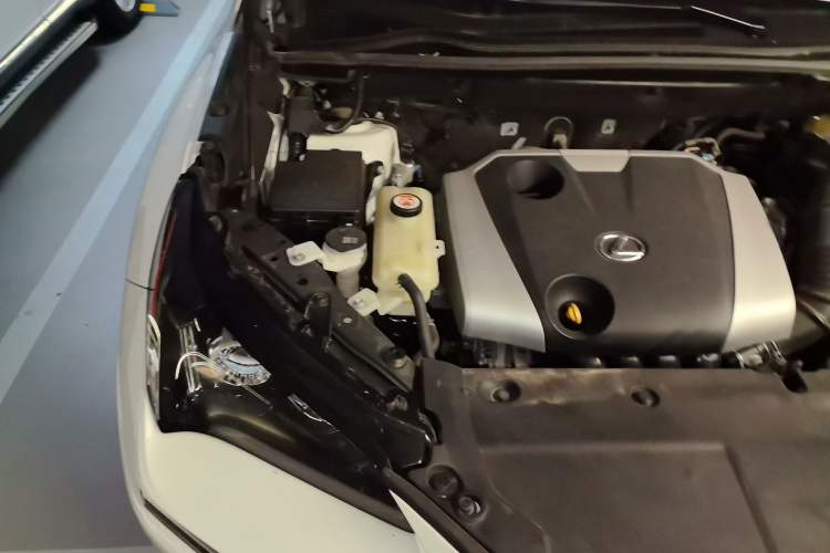 Used Lexus NX 2020 200 All-Wheel Drive Fēngshàng Version China VI Standard Engine Bay Right
