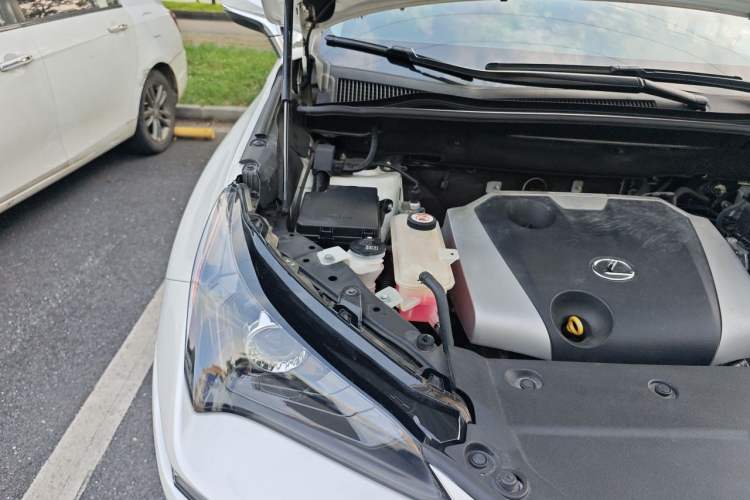 Used Lexus NX 2020 200 Front-Wheel Drive Freeline Edition China VI Standard Engine Bay Right