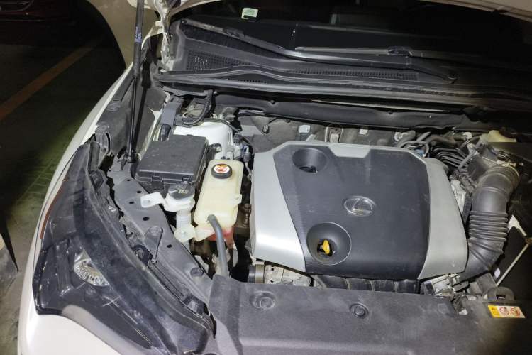 Used Lexus NX 2020 200 Front-Wheel Drive Freeline Edition China VI Standard Engine Bay Right