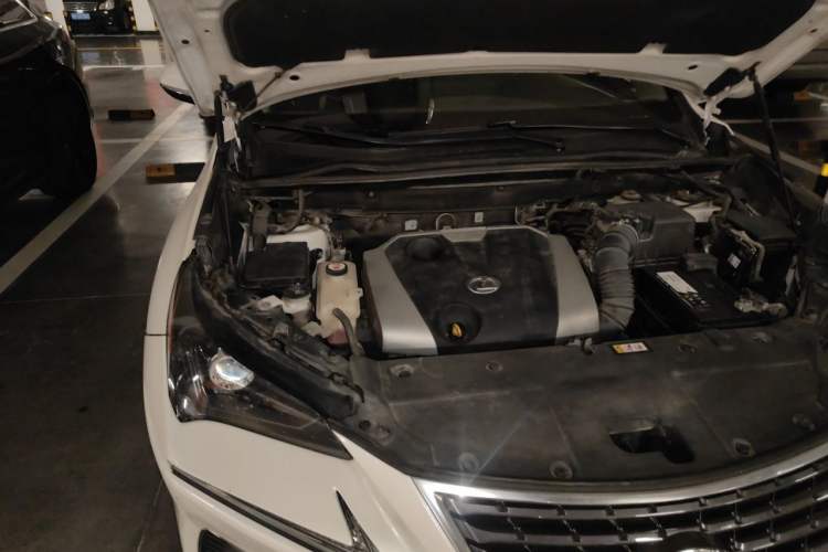 Used Lexus NX 2020 200 Front-Wheel Drive Freeline Edition China VI Standard Engine Bay Right