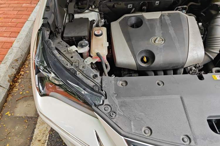 Used Lexus NX 2020 200 Front-Wheel Drive Freeline Edition China VI Standard Engine Bay Right