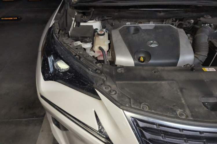 Used Lexus NX 2020 200 Front-Wheel Drive Freeline Edition China VI Standard Engine Bay Right