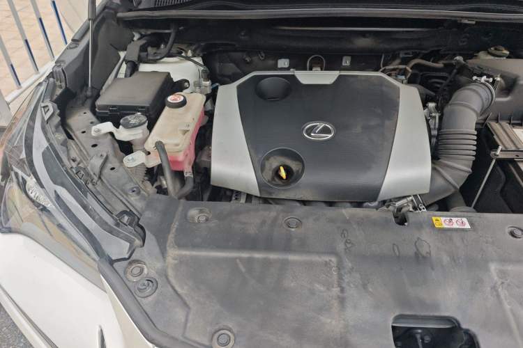 Used Lexus NX 2020 200 Front-Wheel Drive Freeline Edition China VI Standard Engine Bay Right