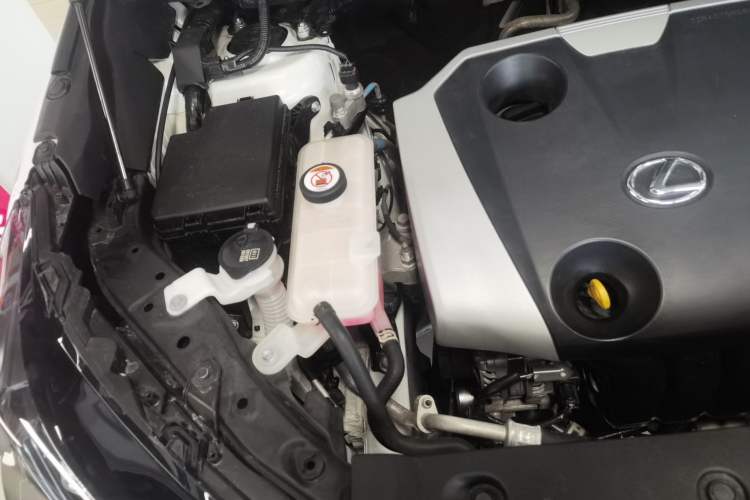 Used Lexus NX 2020 200 Front-Wheel Drive Vmotion Edition China VI Standard Engine Bay Right