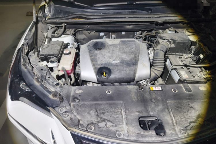 Used Lexus NX 2020 200 Front-Wheel Drive Freeline Edition China VI Standard Engine Bay Right