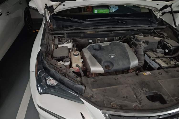 Used Lexus NX 2020 200 Front-Wheel Drive Vmotion Edition China VI Standard Engine Bay Right