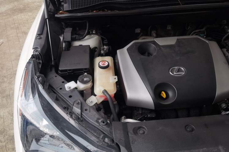 Used Lexus NX 2020 200 Front-Wheel Drive Vmotion Edition China VI Standard Engine Bay Right