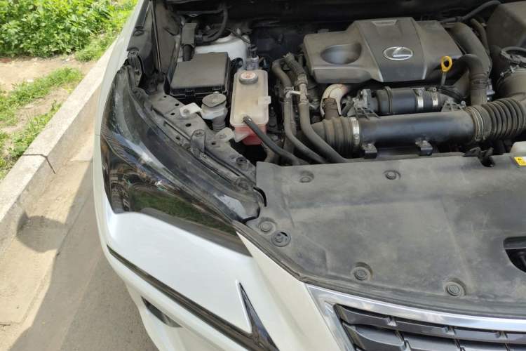 Used Lexus NX 2020 300 Front-Wheel-Drive Frenza Edition China V Standard Engine Bay Right