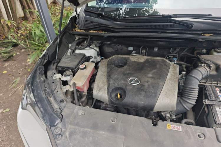 Used Lexus NX 2020 200 All-Wheel Drive Fēngshàng Version China V Standard Engine Bay Right