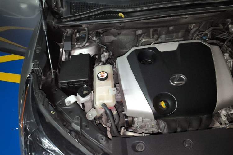 Used Lexus NX 2020 200 Front-Wheel Drive Freeline Edition China VI Standard Engine Bay Right