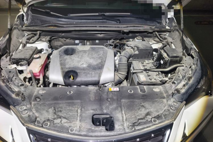 Used Lexus NX 2020 200 Front-Wheel Drive Freeline Edition China VI Standard Engine Bay