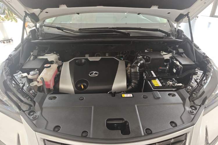Used Lexus NX 2020 200 All-Wheel Drive Fēngshàng Version China VI Standard Engine Bay
