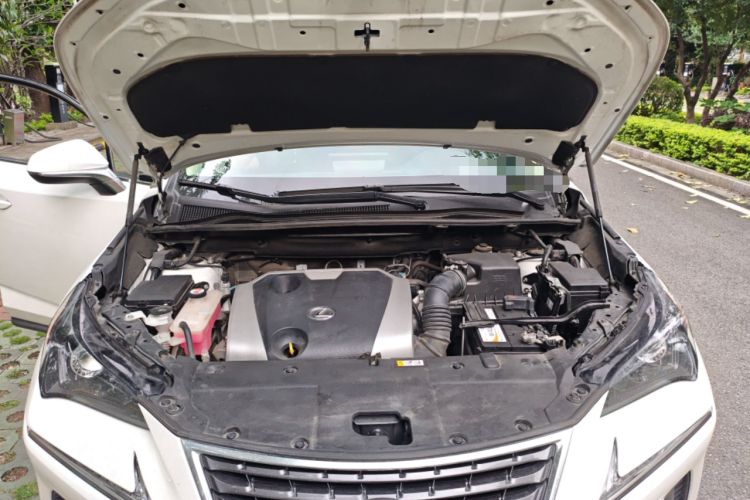 Used Lexus NX 2020 200 Front-Wheel Drive Freeline Edition China VI Standard Engine Bay
