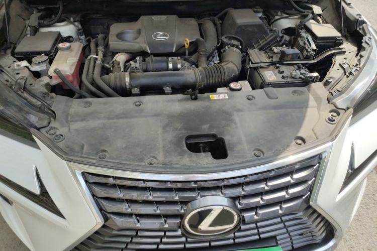 Used Lexus NX 2020 300 Front-Wheel-Drive Frenza Edition China V Standard Engine Bay