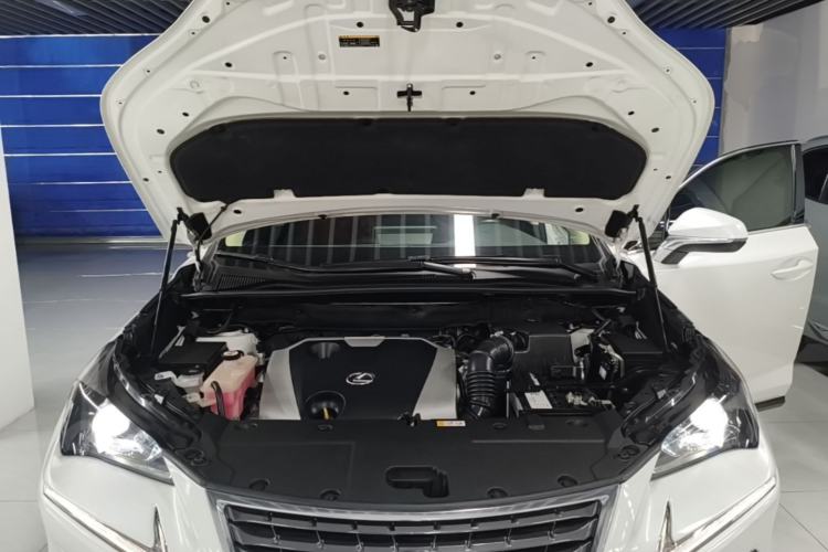 Used Lexus NX 2020 200 Front-Wheel Drive Freeline Edition China VI Standard Engine Bay