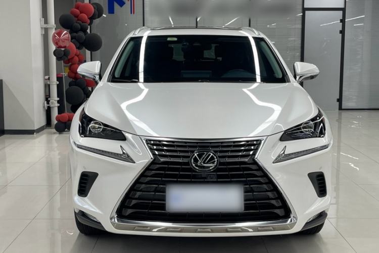 Used Lexus NX 2020 200 All-Wheel Drive Fēngshàng Version China VI Standard Exterior 1