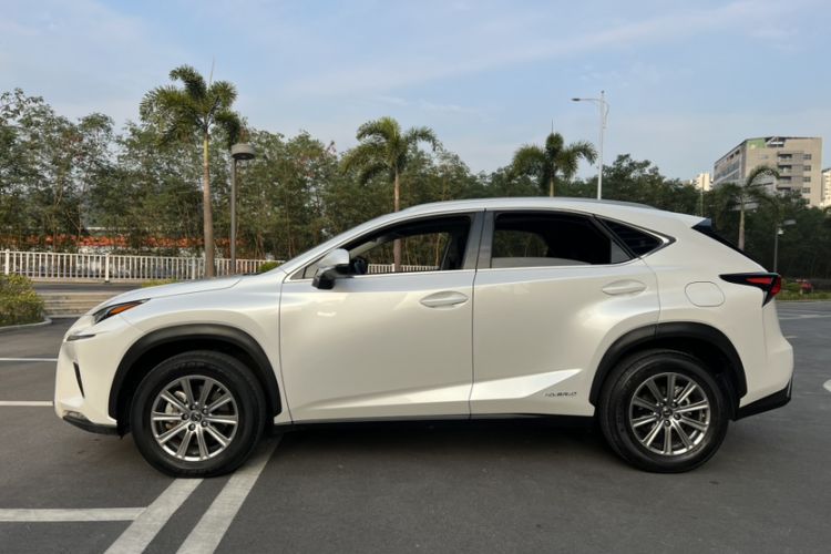 Used Lexus NX 2020 300h Front-Drive FENGSHANG Version China VI Standard Exterior 2