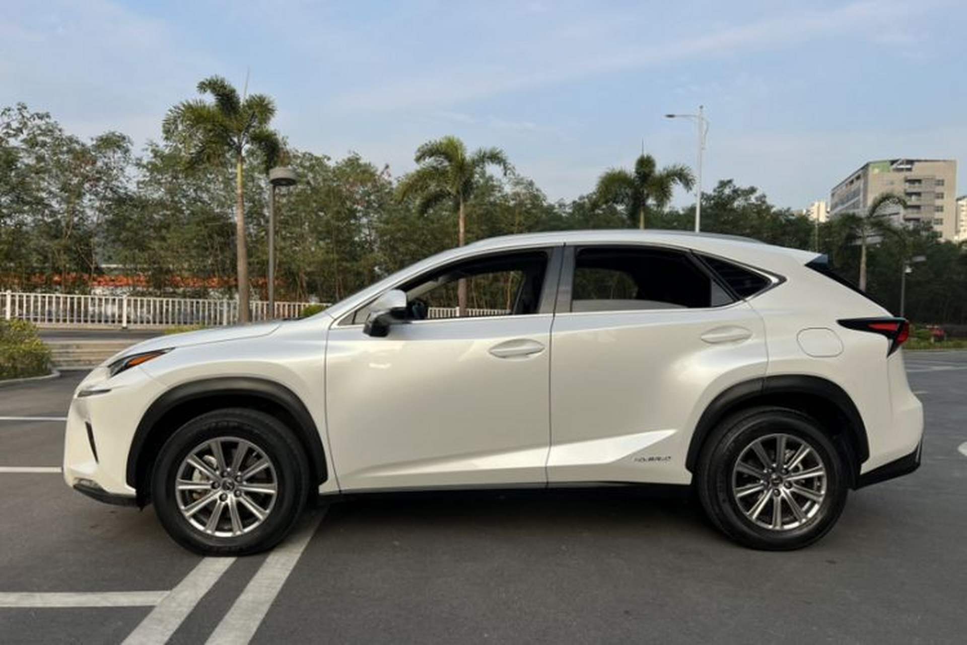 Used Lexus NX 2020 300h Front-Drive FENGSHANG Version China VI Standard Exterior 2