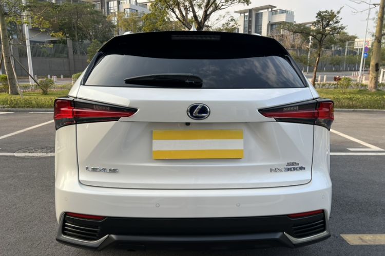 Used Lexus NX 2020 300h Front-Drive FENGSHANG Version China VI Standard Exterior 5
