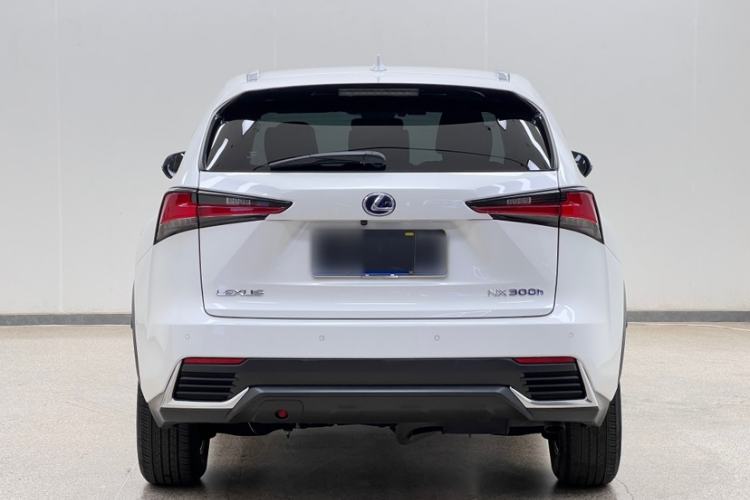 Used Lexus NX 2020 300h Front-Drive FENGSHANG Version China VI Standard Exterior 6