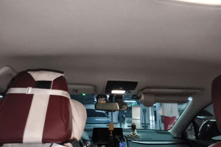 Used Lexus NX 2020 200 Front-Wheel Drive Freeline Edition China VI Standard Headliner