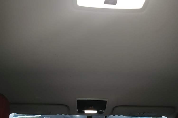 Used Lexus NX 2020 200 Front-Wheel Drive Vmotion Edition China VI Standard Headliner