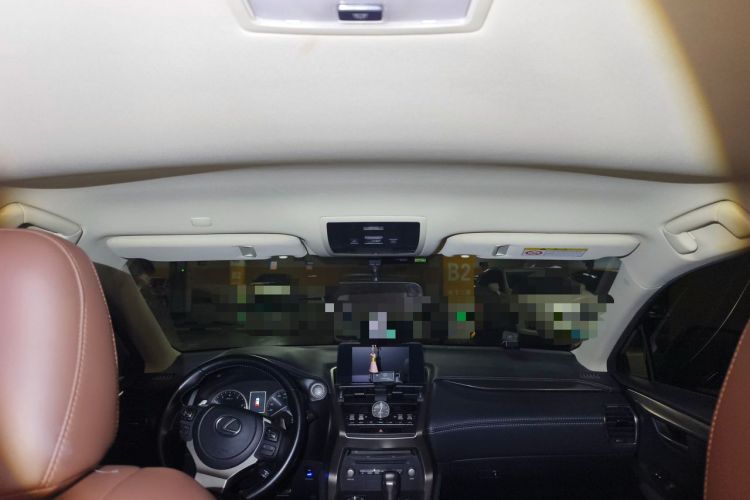 Used Lexus NX 2020 200 Front-Wheel Drive Freeline Edition China VI Standard Headliner