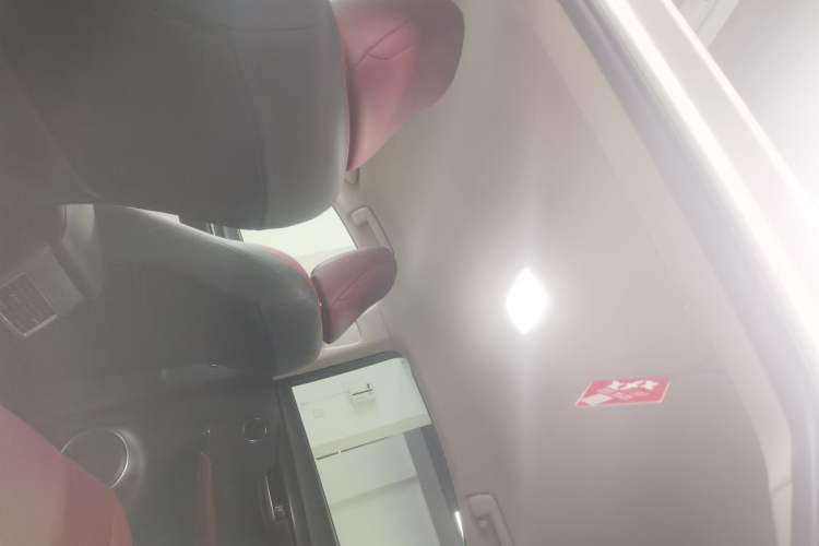 Used Lexus NX 2020 200 Front-Wheel Drive Vmotion Edition China VI Standard Headliner