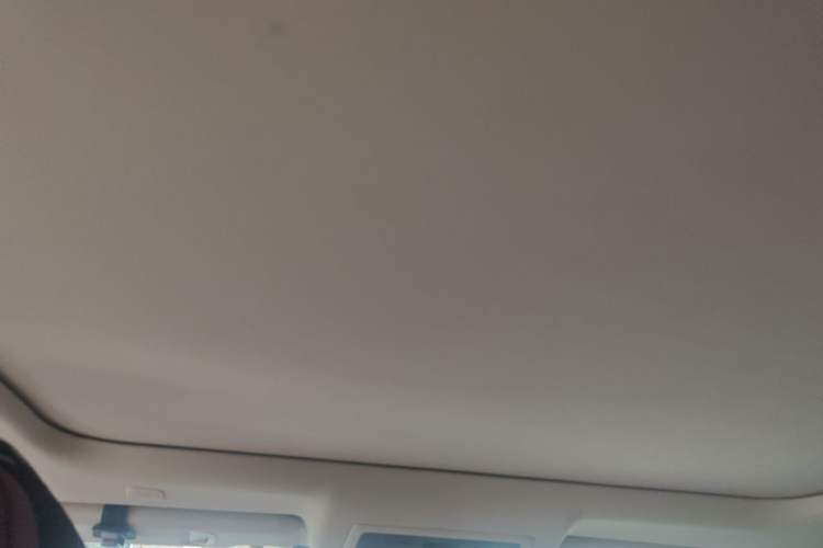 Used Lexus NX 2020 300h All-Wheel Drive FENGZHI Version China VI Standard Headliner