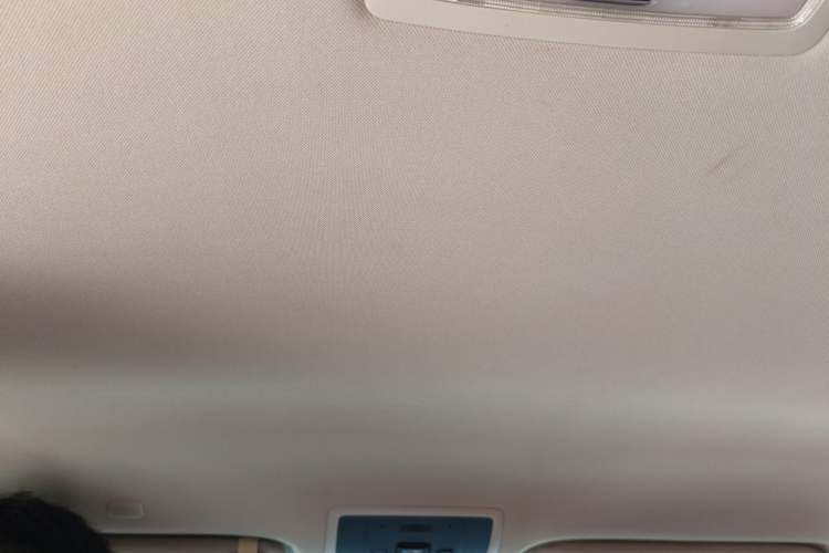 Used Lexus NX 2020 300 Front-Wheel-Drive Frenza Edition China V Standard Headliner