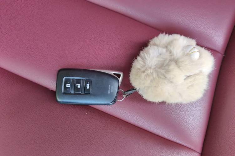 Used Lexus NX 2020 200 Front-Wheel Drive Vmotion Edition China VI Standard Interior 1