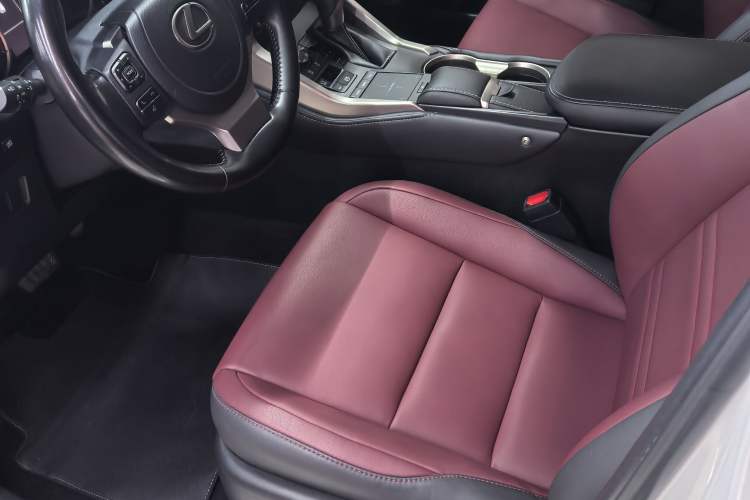 Used Lexus NX 2020 200 Front-Wheel Drive Vmotion Edition China VI Standard Interior 1