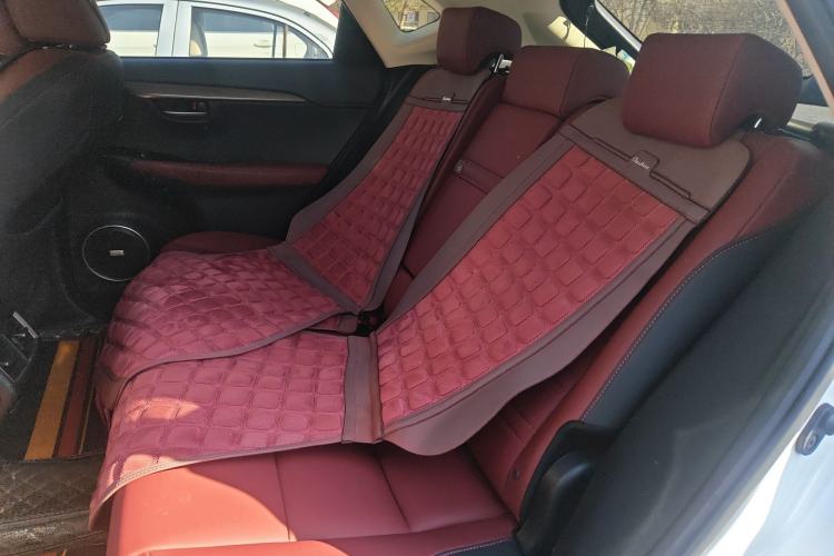 Used Lexus NX 2020 200 Front-Wheel Drive Vmotion Edition China VI Standard Interior 4