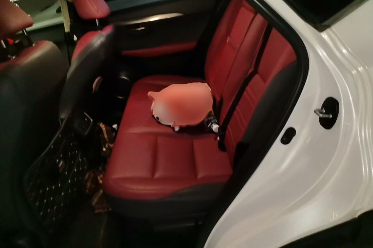Used Lexus NX 2020 200 All-Wheel Drive Fēngshàng Version China VI Standard Left Rear Seat