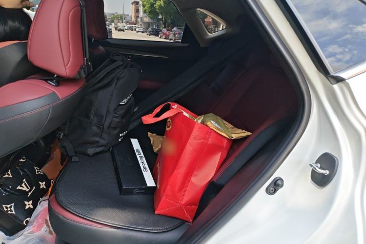 Used Lexus NX 2020 300h Front-Drive FENGSHANG Version China VI Standard Left Rear Seat