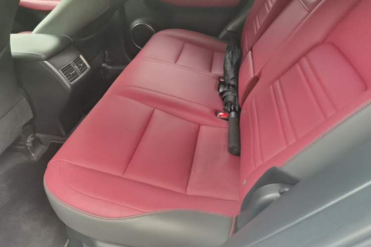 Used Lexus NX 2020 300h Front-Drive FENGSHANG Version China VI Standard Left Rear Seat