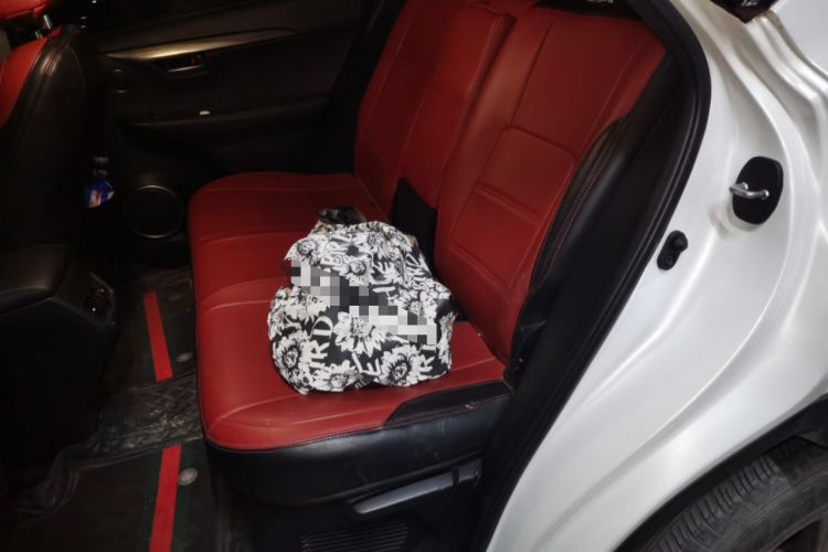 Used Lexus NX 2020 200 Front-Wheel Drive Freeline Edition China VI Standard Left Rear Seat