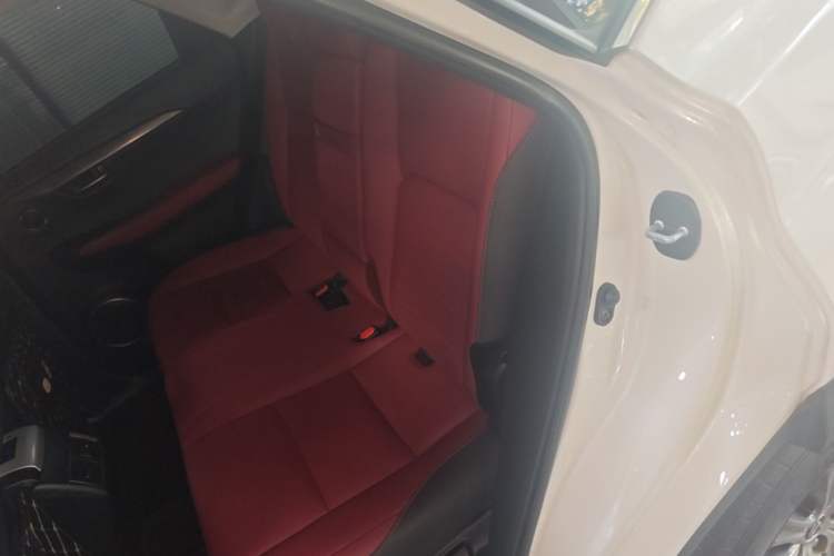 Used Lexus NX 2020 200 All-Wheel Drive Fēngshàng Version China VI Standard Left Rear Seat