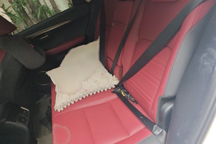 Used Lexus NX 2020 200 All-Wheel Drive Fēngshàng Version China V Standard Left Rear Seat