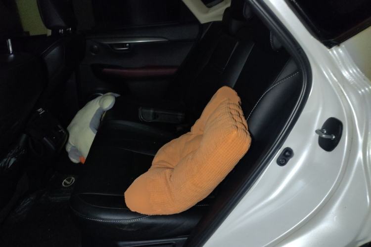 Used Lexus NX 2020 200 Front-Wheel Drive Freeline Edition China VI Standard Left Rear Seat