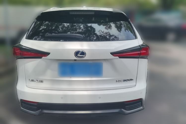 Used Lexus NX 2020 300h Front-Drive FENGSHANG Version China VI Standard Rear