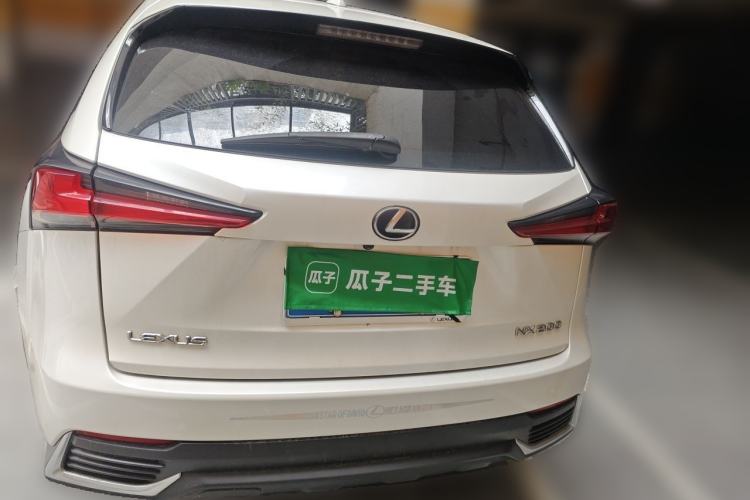 Used Lexus NX 2020 200 Front-Wheel Drive Freeline Edition China VI Standard Rear