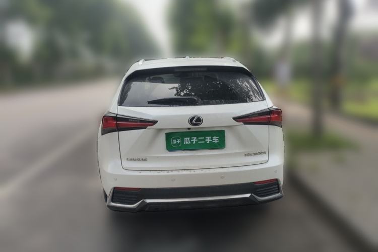 Used Lexus NX 2020 200 All-Wheel Drive Fēngshàng Version China VI Standard Rear