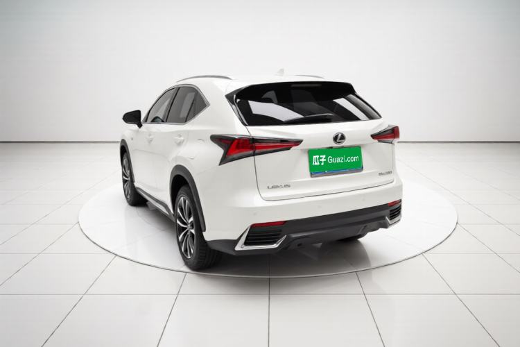 Used Lexus NX 2020 200 All-Wheel Drive Fēngshàng Version China VI Standard Rear Left 45 Deg