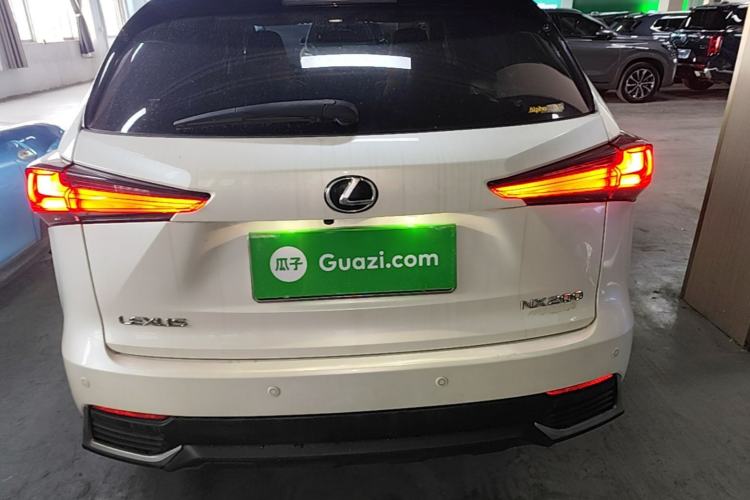 Used Lexus NX 2020 200 Front-Wheel Drive Freeline Edition China VI Standard Rear