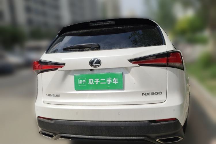 Used Lexus NX 2020 300 Front-Wheel-Drive Frenza Edition China V Standard Rear